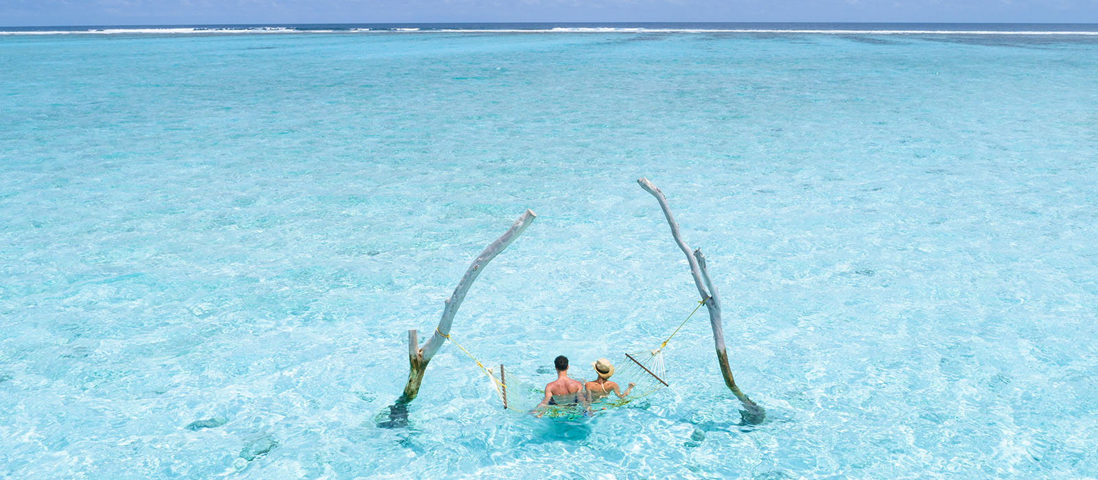 summerisland blog image