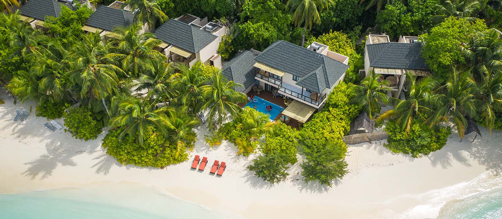 summerisland blog image