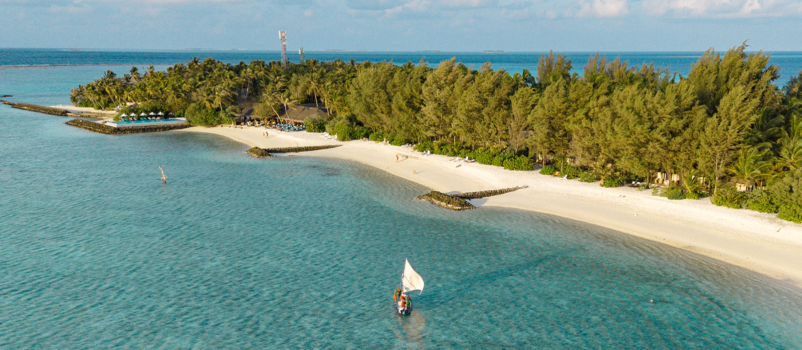summerisland blog image