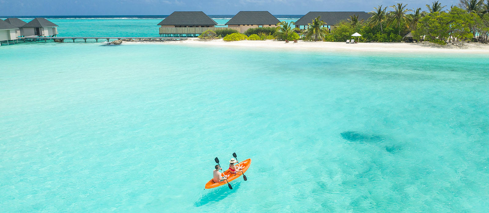 summerisland blog image
